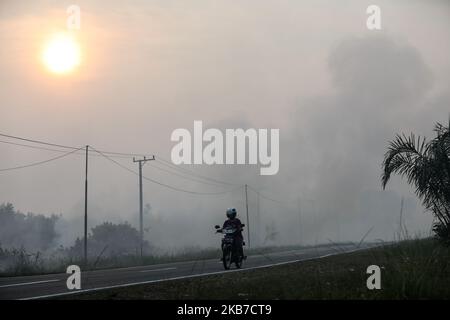 A woman rides her motorcycle as smoke billows from burnt trees in Palangka Raya, Central Kalimantan province, Indonesia, October 1, 2019. Firefighters, military personnel and water-dropping helicopters have been deployed to combat the fires in Sumatra and Borneo that have caused thick haze in the neighboring countries, Singapore and Malaysia. (Photo by Andrew Gal/NurPhoto) Stock Photo