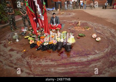 A Nepalese devotee offering ritual prayer after slaughter a goat on the occasion of Navami, ninth day of Dashain Festival at Basantapur Durbar Square, Kathmandu, Nepal on Monday, October 07, 2019. The temple opens once in a year for public on Navami Day. Dashain is the most auspicious and biggest celebrated festival in Nepal, which reflects age old traditions and the devotion of the Nepalese towards Goddess Durga. (Photo by Narayan Maharjan/NurPhoto) Stock Photo