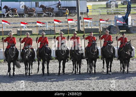 Members of the RCMP (Royal Canadian Mounted Police) perform on horseback during the RCMP Musical Ride in Markham, Ontario, Canada, on October 05, 2019. The Musical Ride of the Royal Canadian Mounted Police is an event showcasing the equestrian skills performed by 32 cavalry who are regular members of the police force. (Photo by Creative Touch Imaging Ltd./NurPhoto) Stock Photo