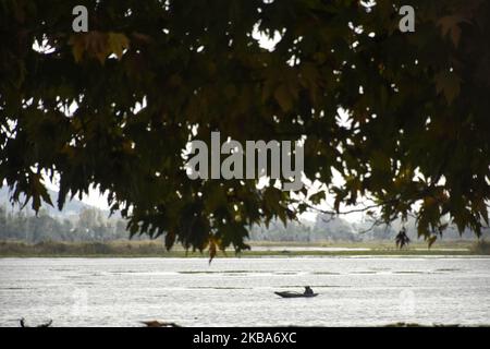 A Kashmiri man rows his boat during rainfall in Dal Lake, Srinagar, Indian Administered Kashmir on 06 November 2019. (Photo by Muzamil Mattoo/NurPhoto) Stock Photo