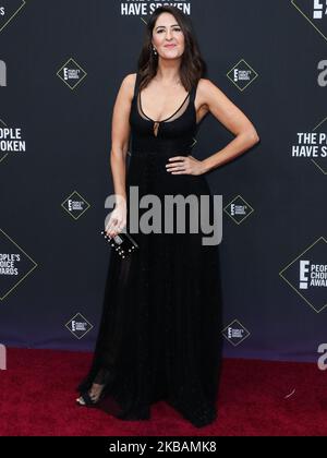 SANTA MONICA, LOS ANGELES, CALIFORNIA, USA - NOVEMBER 10: Actress D'Arcy Carden wearing Maria Lucia Hohan arrives at the 2019 E! People's Choice Awards held at Barker Hangar on November 10, 2019 in Santa Monica, Los Angeles, California, United States. (Photo by Xavier Collin/Image Press Agency/NurPhoto) Stock Photo