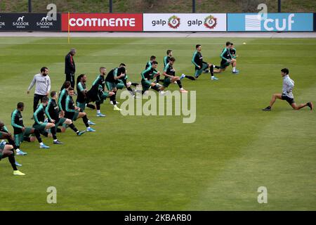 11837852 - UEFA European Qualifiers - Portugal training sessionSearch