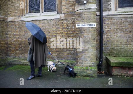 A woman with two dogs arrived to vote in UK General Election at a polling station at St John School Nursery in London, United Kingdom on 12 December, 2019. (Photo by Beata Zawrzel/NurPhoto) Stock Photo