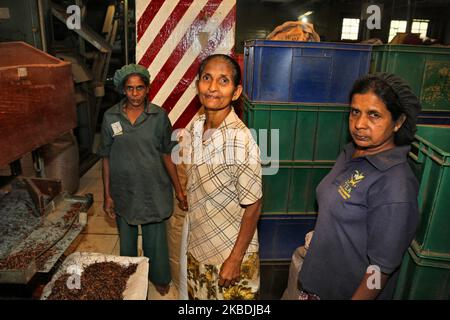 Workers stand by a large machine drying tea leaves at the Geragama Tea Factory in Pilimathalawa, Sri Lanka. Geragama is one of the premium and the oldest tea plantations in Sri Lanka dating back to 1903. (Photo by Creative Touch Imaging Ltd./NurPhoto) Stock Photo