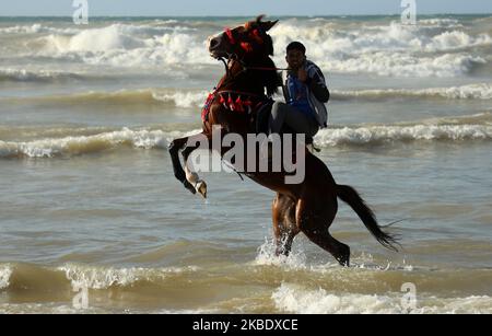 A Palestinian man rides a rearing horse on the beach in Gaza City on Sunday, Jan. 5, 2020. (Photo by Majdi Fathi/NurPhoto) Stock Photo