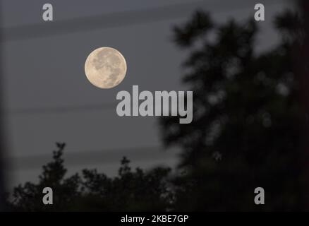 View of the Full moon in Bogota, Colombia on January 11, 2020. (Photo by Daniel Garzon Herazo/NurPhoto) Stock Photo