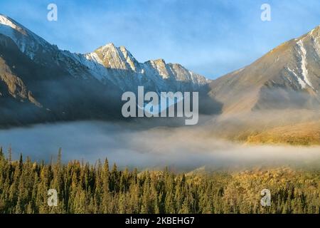 Canada, Yukon, view of the forest under the mist in autumn, with mountains in background, beautiful landscape in a wild country Stock Photo