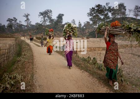 Women return home after collecting firewood during the evening at a village in Sreemangal, Bangladesh on 24 January 2020. (Photo by Syed Mahamudur Rahman/NurPhoto) Stock Photo