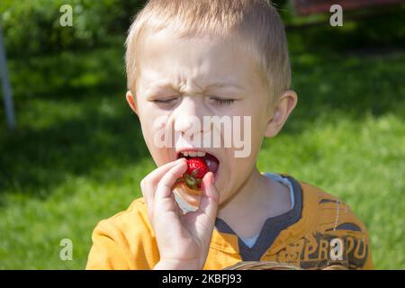 eyes closed boy eating strawberries in the summer Stock Photo