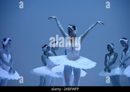 Real Ballet Group of ballet dancers seen from the shoulder. Ready for the ballet ...
