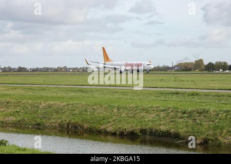 Pegasus airlines schiphol online