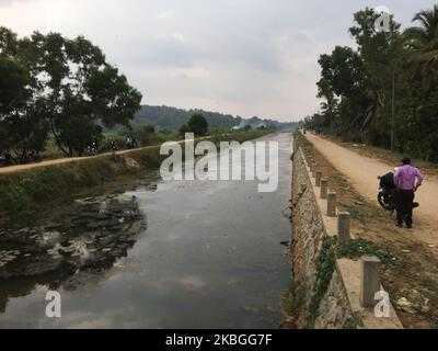 Waterway cutting through farmland in Kalliyoor, Thiruvananthapuram (Trivandrum), Kerala, India, on February 06, 2020. (Photo by Creative Touch Imaging Ltd./NurPhoto) Stock Photo