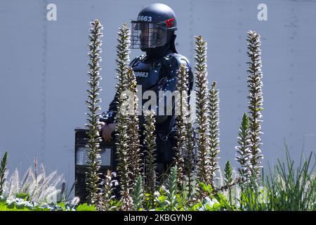 An agent of the anti-riot mobile squad, esmad in the riots at the pedagogical university in Bogota, Colombia on February 13, 2020. Students continue to protest against the government of Ivan Duque. (Photo by Daniel Garzon Herazo/NurPhoto) Stock Photo