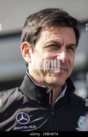 WOLFF Toto (aut), Team Principal & CEO Mercedes AMG Petronas F1 W11, portrait during the Formula 1 Winter Tests at Circuit de Barcelona - Catalunya on February 19, 2020 in Barcelona, Spain. (Photo by Xavier Bonilla/NurPhoto) Stock Photo