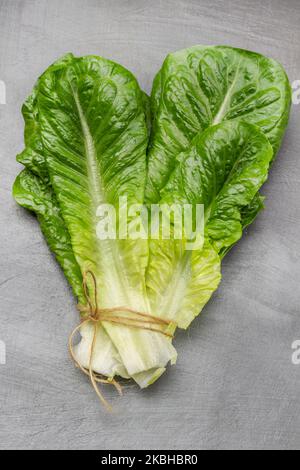 Green lettuce leaves tied with thread on a gray background. Flat lay. Stock Photo