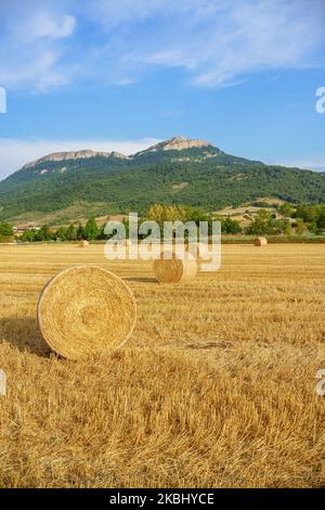 Vertical view of an agriculture field in summer after the harvest in Álava, Spain Stock Photo
