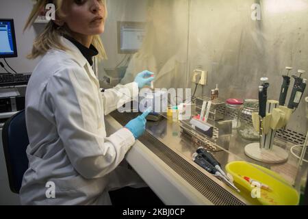 A lab technician is checking samples for coronavirus. Greek officials announced on Wednesday that a woman (38) who recently returned from Milan in Italy has become the first confirmed coronavirus case. The labs of the Hellenic Pasteur Institute, in Athens, are the main facilities for testing samples for coronavirus. As Athanassios Kossyvakis, head of the lab, mentioned up to the 26th of February, the Pasteur Institute has checked more than 40 samples that were suspicious for coronavirus. All were negative. (Photo by Maria Chourdari/NurPhoto) Stock Photo