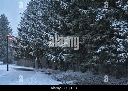 Snowstorm hit Toronto, Ontario, Canada, on February 26, 2020. The storm is expected to drop between 15-25 centimeters of snow across the Greater Toronto Area. (Photo by Creative Touch Imaging Ltd./NurPhoto) Stock Photo