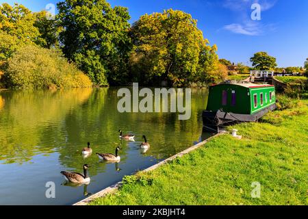 A bright autumn day with Canada Geese and narrowboat near a lock at Caen Hill rise on the Kennet & Avon Canal, nr Devizes, Wiltshire, England, UK Stock Photo