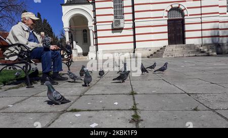 An elderly man is seen sitting on a bench and feed pigeons in Varna, Bulgaria.The Bulgarian government ordered suspending the work for a month around Bulgaria of the galleries, restaurants, cafe shops, night clubs, concerts and the mass gathering of people indoors to prevent the spread of COVID-19. In the following month will work only governmental institutions, pharmacies and food shops. As of Saturday evening, the Department of Health has confirmed 41 cases of coronavirus in Bulgaria, with at least two recorded fatalities, Varna, Bulgaria on March 14, 2020 (Photo by Hristo Rusev/NurPhoto) Stock Photo
