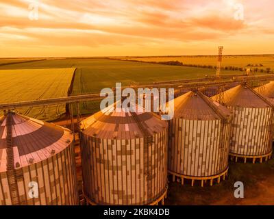 Grain elevator. Metal grain elevator in agricultural zone. Agriculture storage for harvest. Grain silos on green nature background. Exterior of Stock Photo