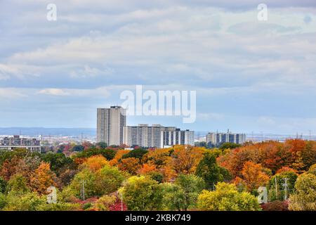 Colourful trees during the Autumn season in Toronto, Ontario, Canada, on October 14, 2019. (Photo by Creative Touch Imaging Ltd./NurPhoto) Stock Photo