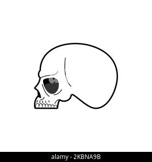 Skull isolated. cranium Vector illustration Stock Vector