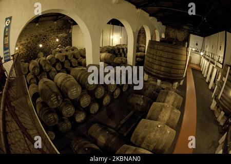 Wiese & Krohn wine cellars, in Porto, Portugal, Port wine. These wines were born in the 16th and 17th centuries, as a product of the addition of brandy to the wine when it is in the process of fermentation. (Photo by Oscar Gonzalez/NurPhoto) Stock Photo