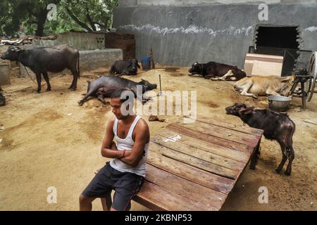 A migrant worker Ajay Kumar, 33, who's stuck in New Delhi, is dejected after he tried to book his train ticket multiple times in which he eventually failed to succeed in New Delhi, India on 13 May 2020. He is keen to join back his family. (Photo by Nasir Kachroo/NurPhoto) Stock Photo