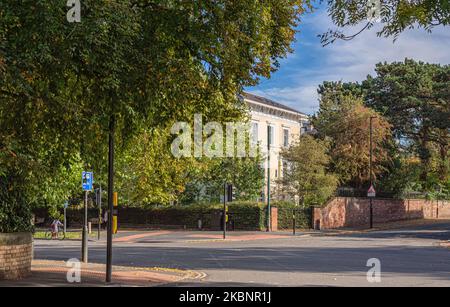 A city road crossroads shaded by leafy trees in early autumn. A whitewashed building is on one corner and a blue sky with clouds is above. Stock Photo