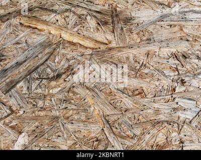 Particleboard wooden wet surface. Background and texture of OSB or MDF board. Close up. Stock Photo