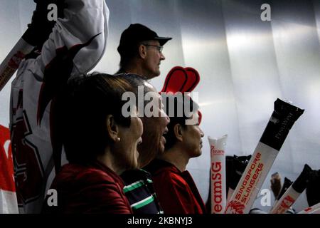 In this photo taken on 08 December 2019, audience members cheer for the Singaporean hockey team during the 30th Southeast Asian Games finals match for ice hockey between teams Singapore and Thailand at the SM Mall of Asia Ice Rink in Pasay City, south of Manila, Philippines. Slated for October 3-9 after being postponed twice due to logistical concerns, the ASEAN Para Sports Federation (APSF) officially announced the cancellation of the 2020 ASEAN Para Games in light of the Philippine Sports Commission's decision to cancel all sporting events in the Philippines due to the novel coronavirus pand Stock Photo