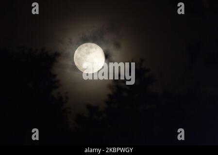 View of the 'Luna de Fresa' in the city of Bogota, Colombia on June 6, 2020. (Photo by Daniel Garzon Herazo/NurPhoto) Stock Photo