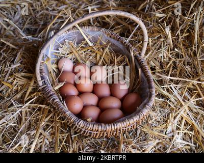 Chicken eggs chicken egg basket on the hay Stock Photo