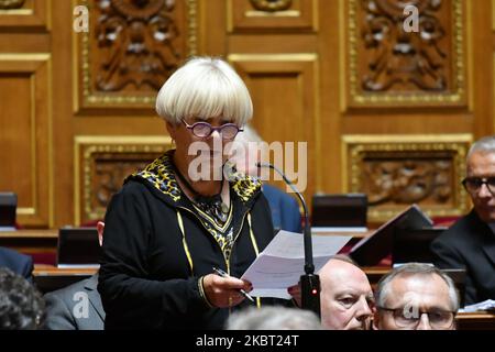 Senator Michele Vullien speaks during the session of the questions for the government (QAG) at French Senate, Paris, France, on July 1, 2020.(Photo by Daniel Pier/NurPhoto) Stock Photo