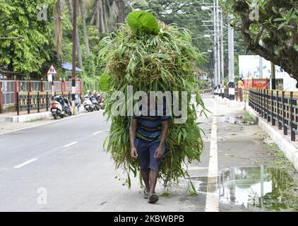 A man carries grass on head for cattle, in a street of Guwahati, Assam, India on Saturday, 18 July 2020. (Photo by David Talukdar/NurPhoto) Stock Photo