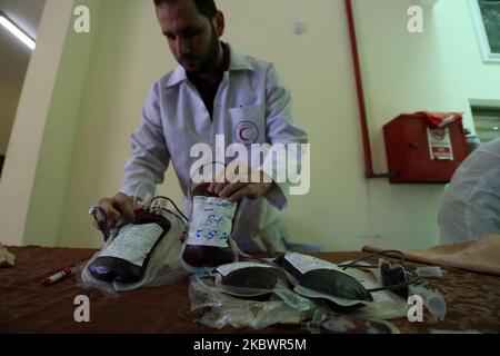 Palestinians donate bloods, in Gaza, Palestine, on August 5, 2020 during a public blood donation campaign for the lebanese community following the explosion at Beirut port. (Photo by Majdi Fathi/NurPhoto) Stock Photo