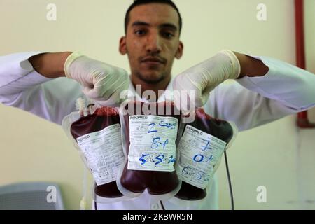 Palestinians donate bloods, in Gaza, Palestine, on August 5, 2020 during a public blood donation campaign for the lebanese community following the explosion at Beirut port. (Photo by Majdi Fathi/NurPhoto) Stock Photo