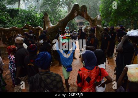 Vevotees/Woshippers walking into the shrine of Osun River, at the scared Grove during the annual Osun-Osogbo festival in honour of her in Osogbo, Nigeria, on August 14, 2020. (Photo by Olukayode Jaiyeola/NurPhoto) Stock Photo