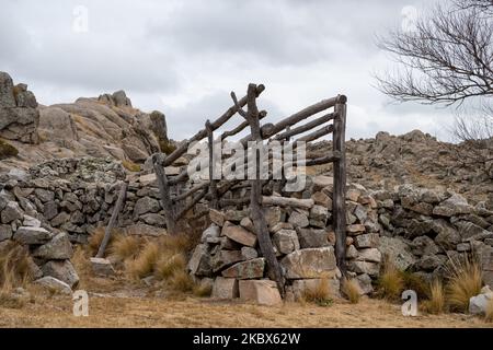 Old dilapidated wooden cattle race fence in the country Stock Photo