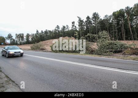 Felled trees on the leveled area for the construction of a new Kartuska street road near the Lidl store are seen in Gdansk, Poland, on 21 August 2020 (Photo by Michal Fludra/NurPhoto) Stock Photo