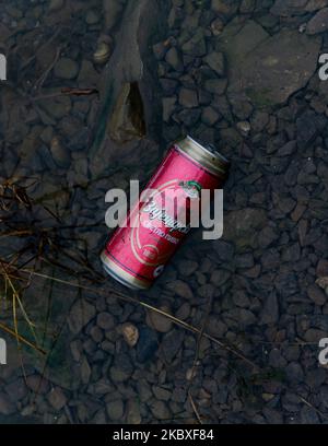 Belgrade, Serbia - November 02, 2022: Beer can discarded in the river Danube in Belgrade. Stop pollution, start Recycling and save our Planet Stock Photo