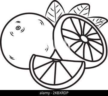 A doodle vector illustration of sliced and halved oranges Stock Vector