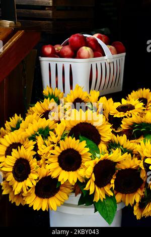 A vertical shot of sunflowers and a basket of nectarines in the Farmer's Market Stock Photo