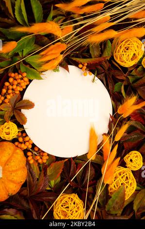 White round flatlay close-up copyspace on replete bright background of yellow and orange leaves orange dried flowers and pumpkins Stock Photo