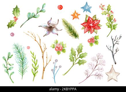 Set of winter plants, flowers, berries and branches. Christmas and new year concept. Watercolor hand drawn illustration. For postcards, decor, christm Stock Photo