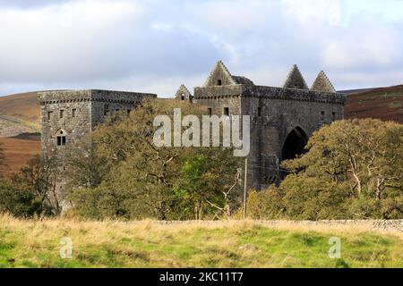 View over farmland toward the ruins of Hermitage castle Scotland Stock Photo