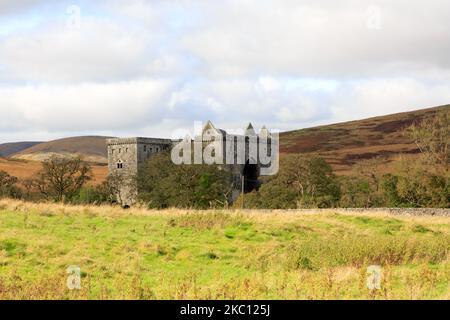 View over farmland toward the ruins of Hermitage castle Scotland Stock Photo