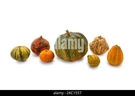 Colorful pumpkins of different types and sizes isolated on white background, clipping path Stock Photo