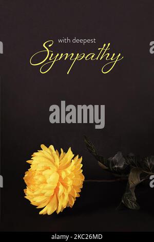 Sympathy card with yellow chrysanthemum on black grunge background Stock Photo